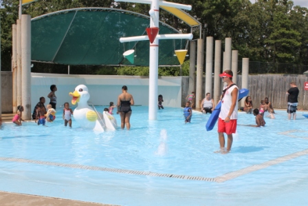 Tad Pool - WIld River Country