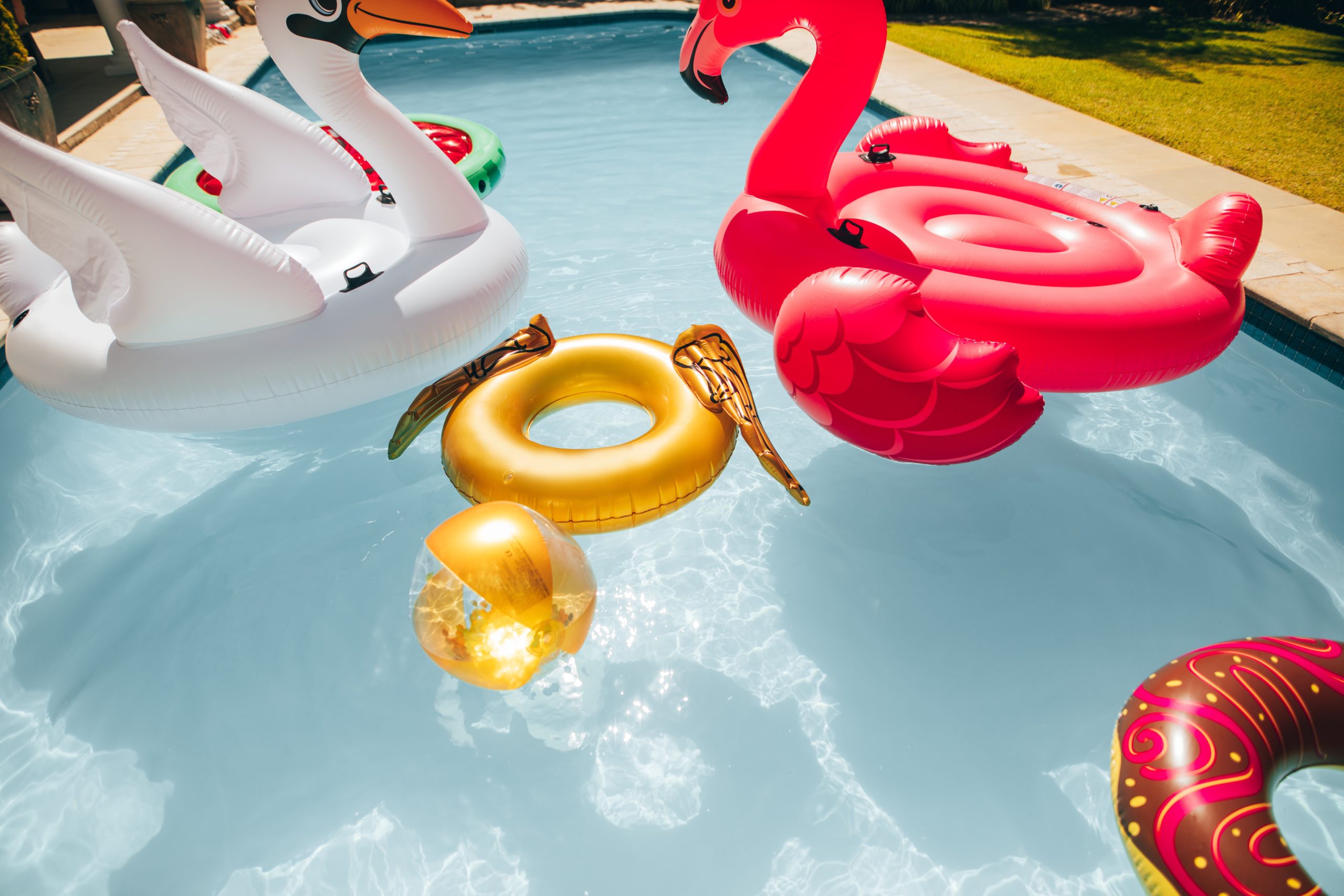 Group-of-colorful-inflatable-toys-floating-in-a-swimming-pool-on-a-summer-day.-Inflatable-swan-flamingo-ring-and-ball-in-pool-scaled