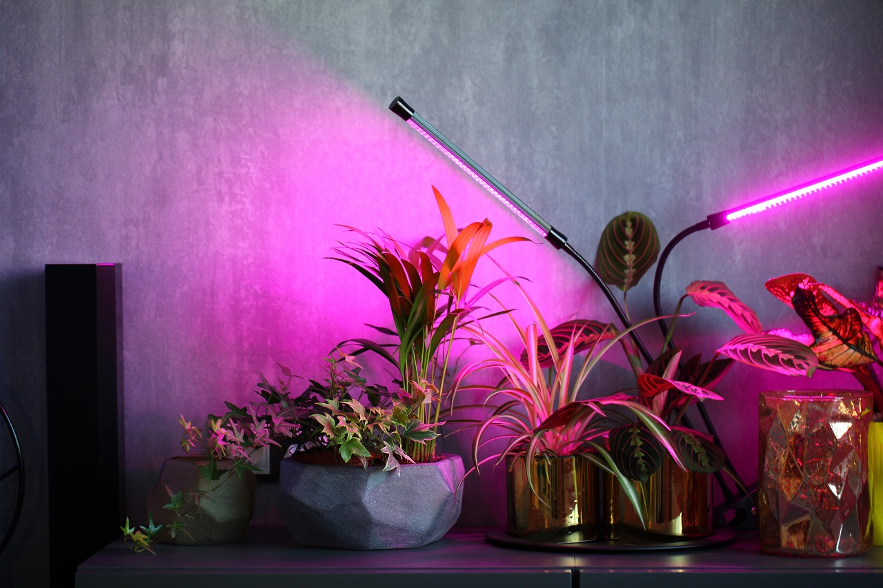 phytolamps-illuminate-potted-plants-on-a-shelf-in-a-room